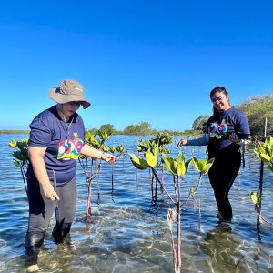 Tree Planting