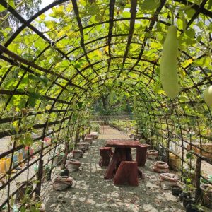 Sustainable Agroforestry Program – “Gulayan sa Minahan”